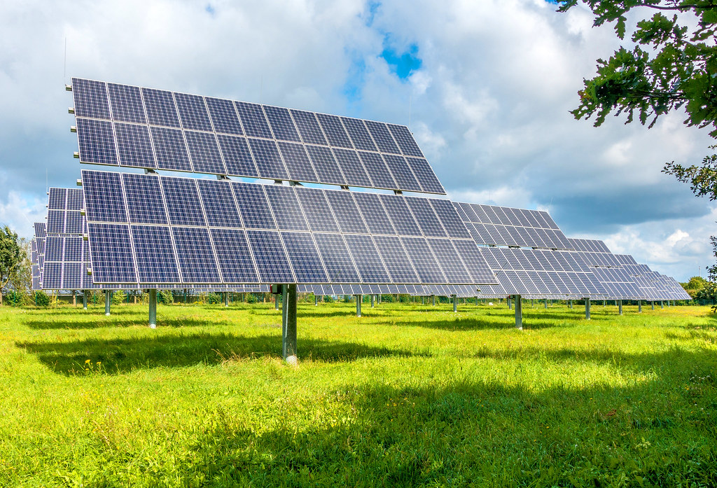 Rows of solar panels in sunlight